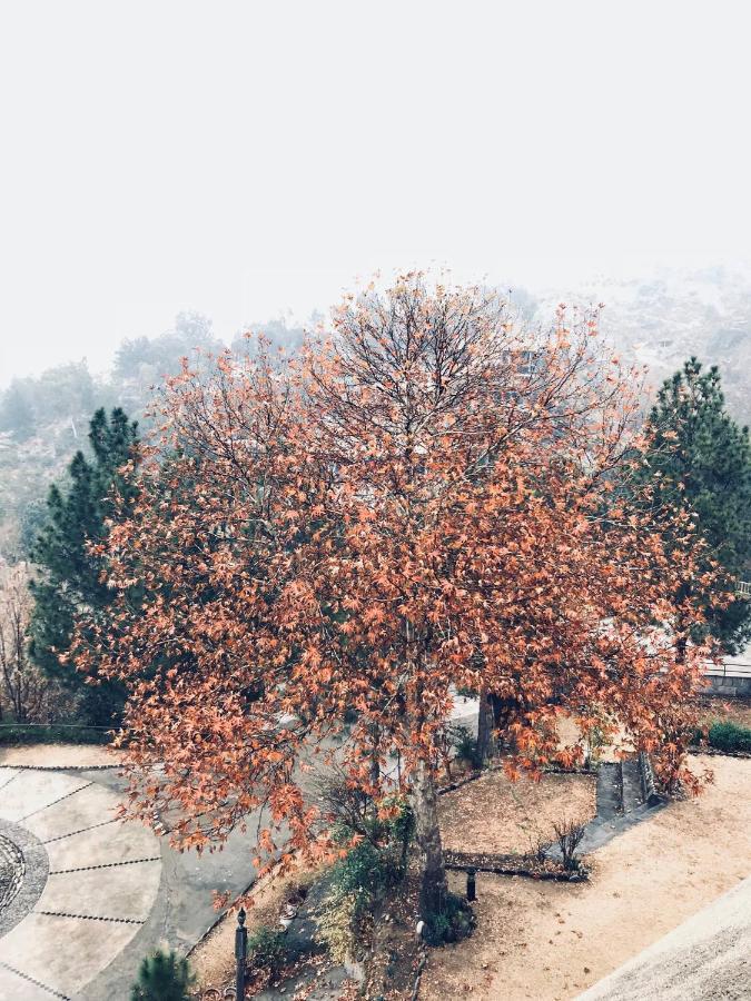 Mingora Rock City Resort מראה חיצוני תמונה